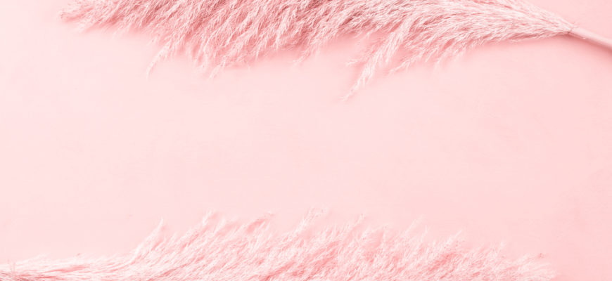 Trendy,Pale,Pink,Background,With,Pampas,Grass,Frame.,Boho,Style